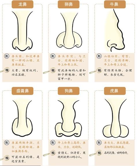 克夫鼻|女人鼻子与克夫 